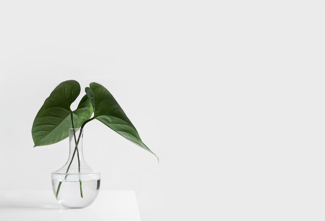 simple white desk on a white wall with a plant on the far right side